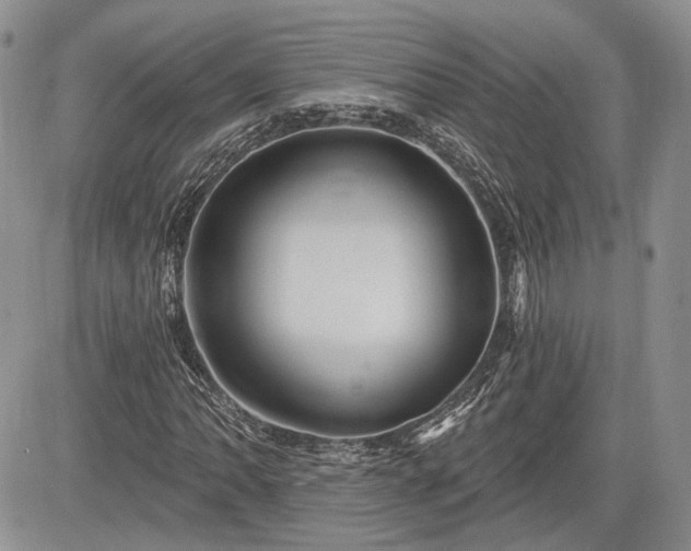 X0000085261062200703161358