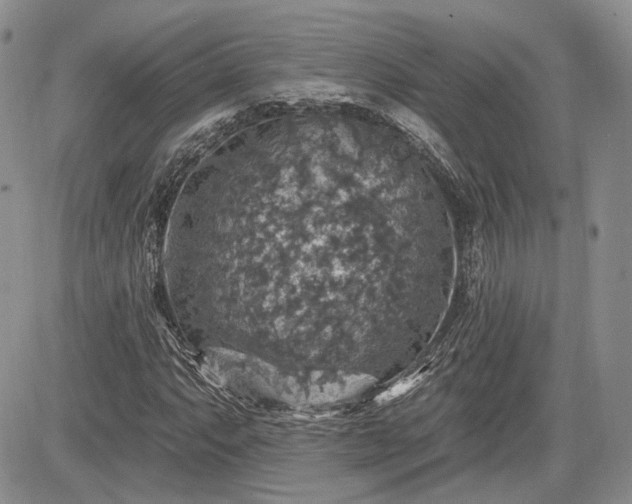 X0000085261063200703161358