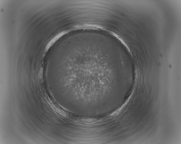 X0000085261066200703161358