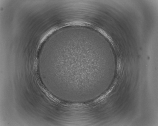 X0000085261067200703161358