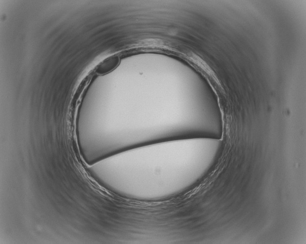 X0000085261068200703161358