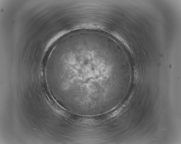 X0000085261070200703161358