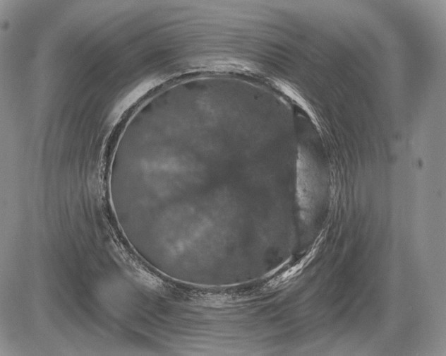 X0000085261071200703161358