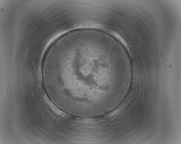 X0000085261072200703161358