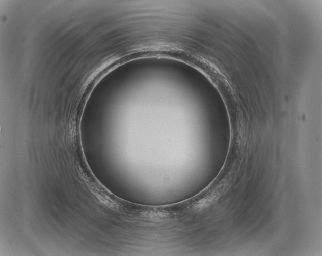 X0000085261073200703161358