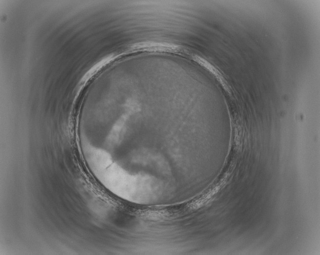 X0000085261074200703161358