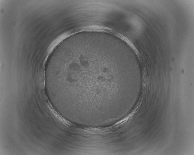 X0000085261075200703161358