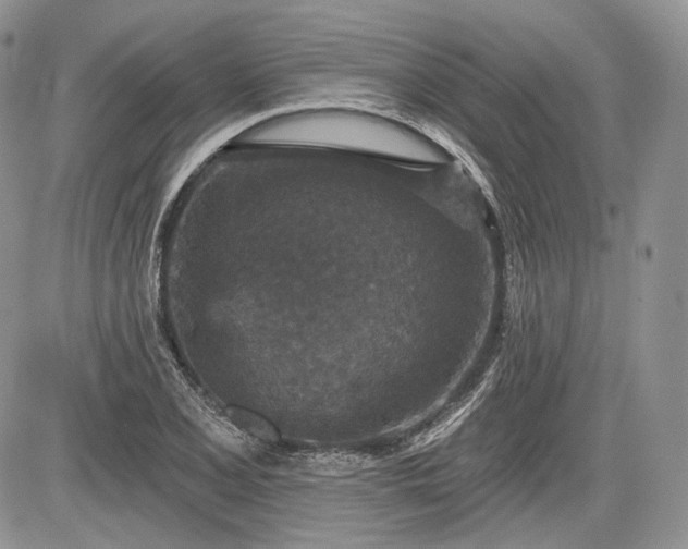 X0000085261077200703161358