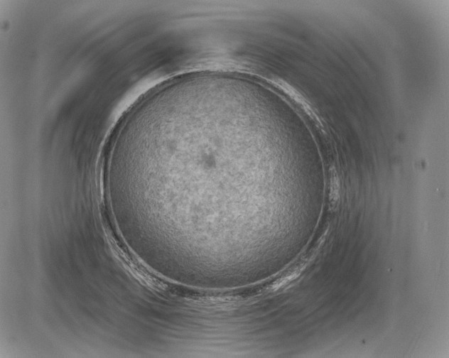 X0000085261078200703161358