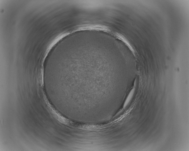 X0000085261079200703161358