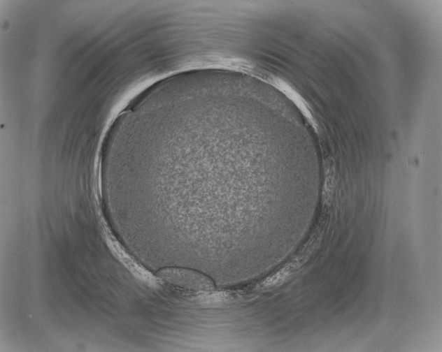 X0000085261080200703161358