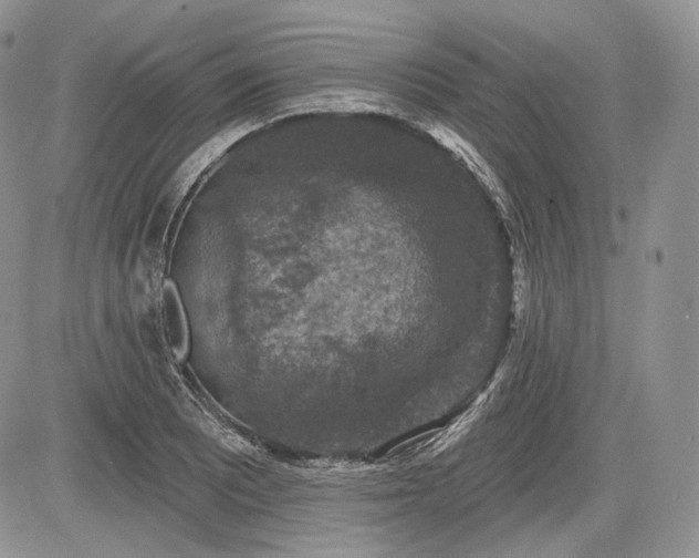 X0000085261081200703161357