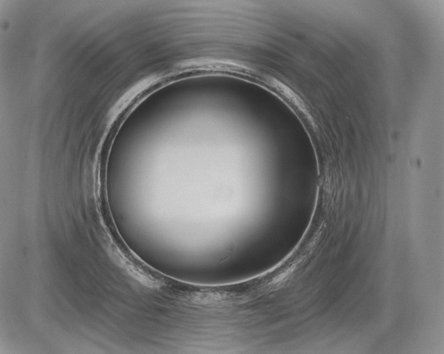 X0000085261082200703161357