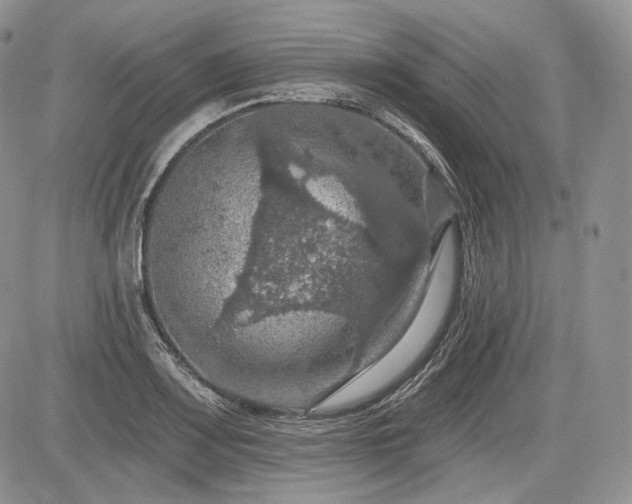 X0000085261083200703161357