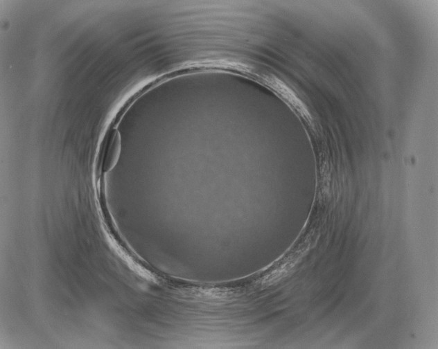 X0000085261084200703161357