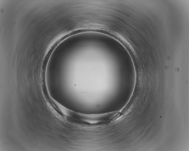 X0000085261085200703161357