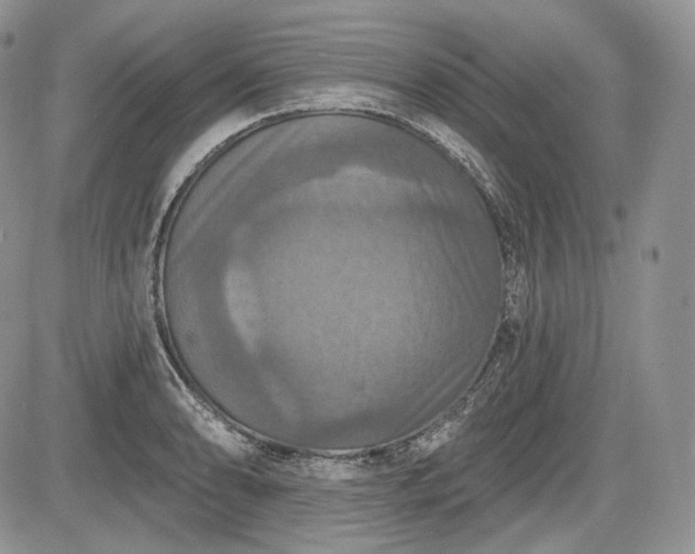 X0000085261086200703161357