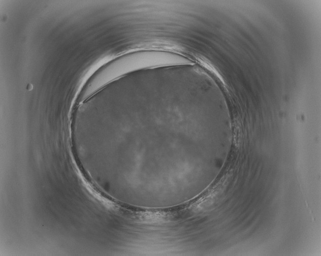 X0000085261087200703161357