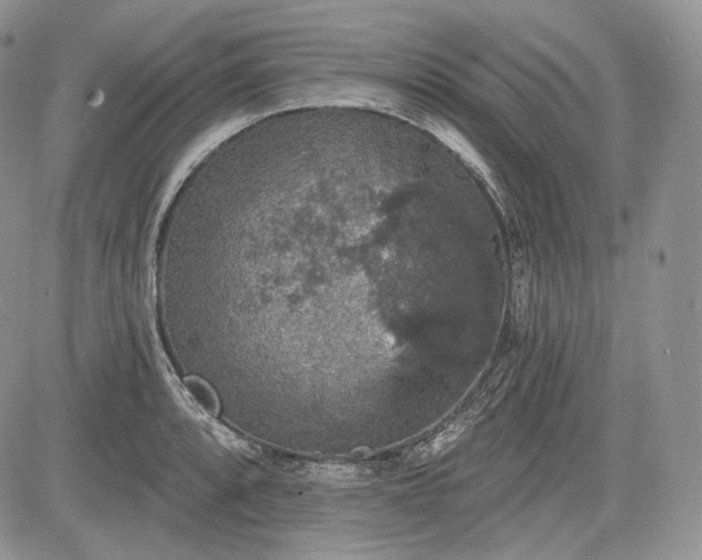 X0000085261088200703161357