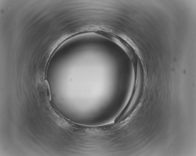 X0000085261089200703161357