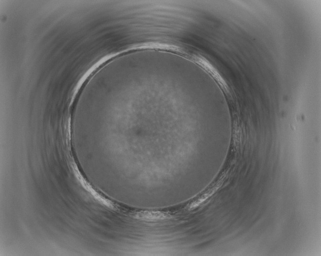 X0000085261092200703161357