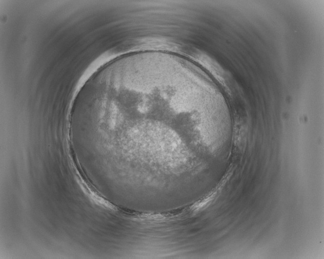 X0000085261094200703161357