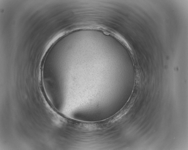 X0000085261095200703161357