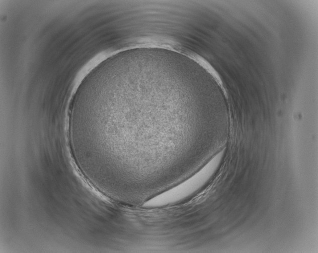 X0000085261096200703161357