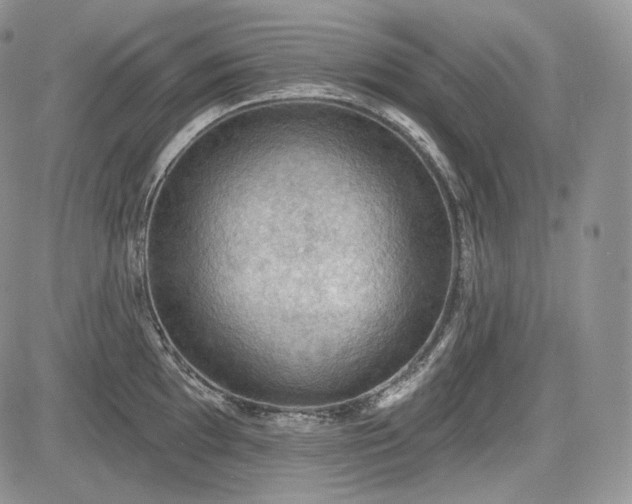 X0000085261097200703161357