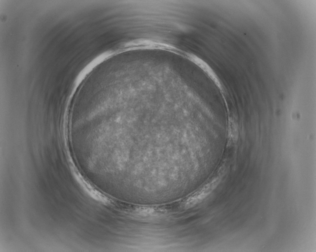 X0000085261098200703161357