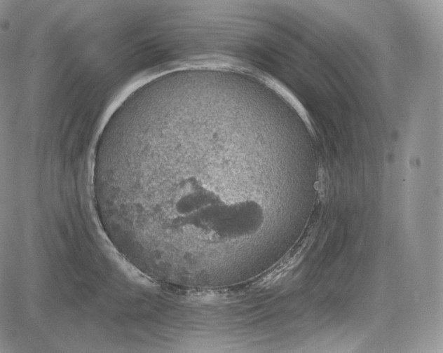 X0000085261099200703161357