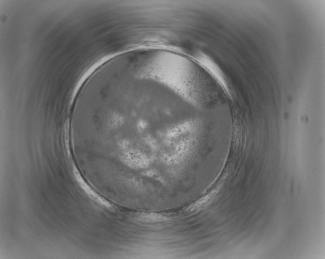 X0000085261100200703161357