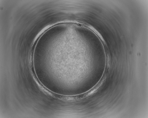 X0000085261101200703161357