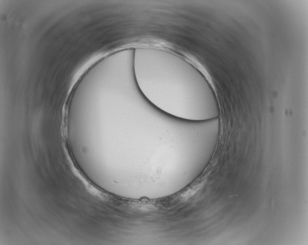 X0000085261103200703161357