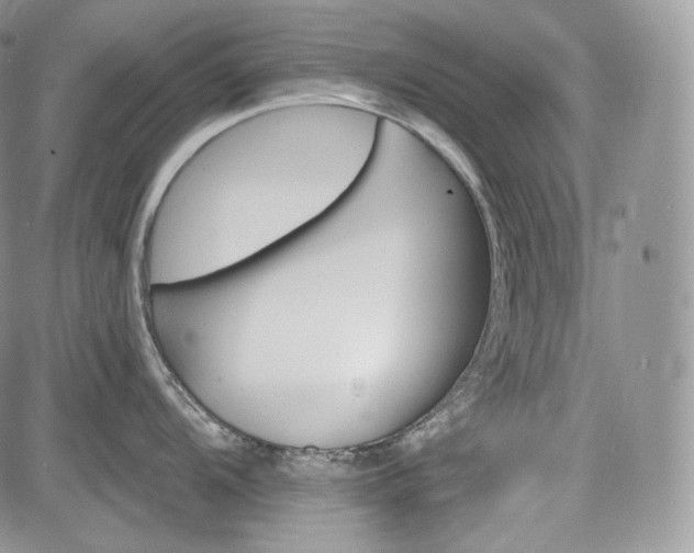 X0000085261104200703161357