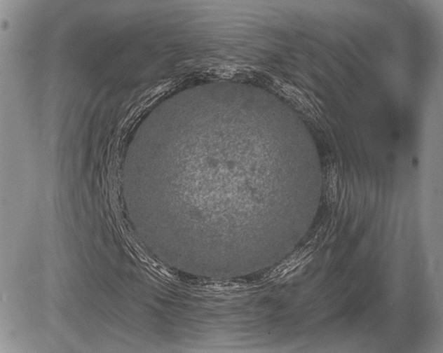 X0000085261105200703161356