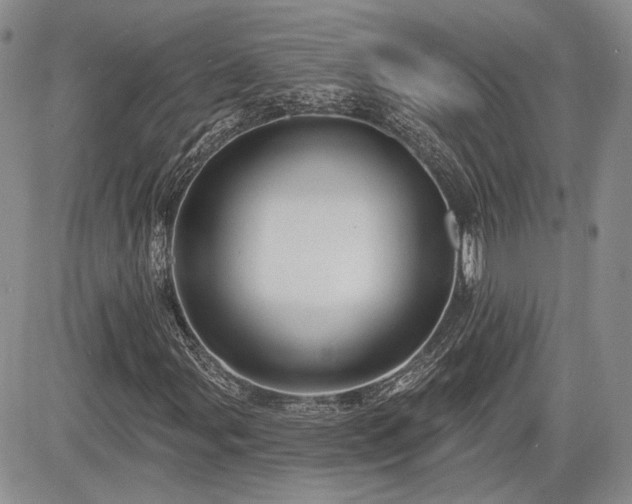 X0000085261107200703161356