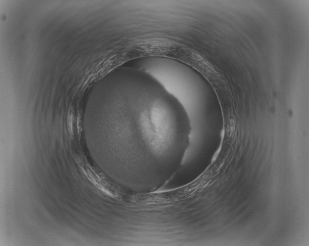 X0000085261108200703161356