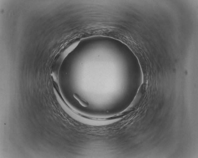 X0000085261109200703161356