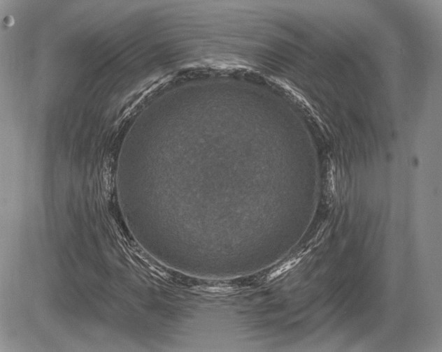 X0000085261110200703161356