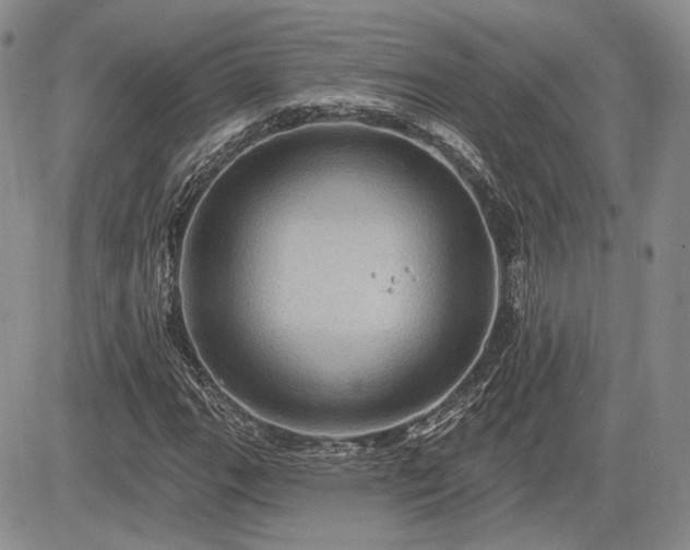 X0000085261111200703161356