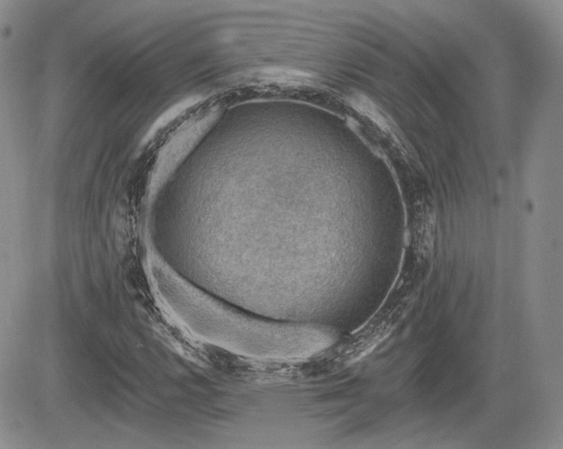 X0000085261112200703161356