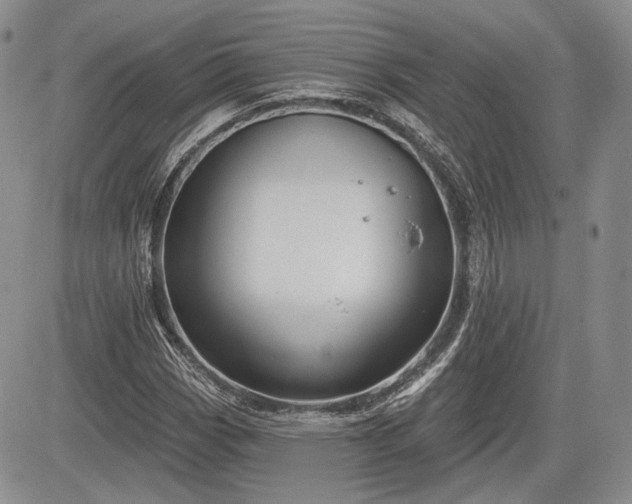 X0000085261113200703161356