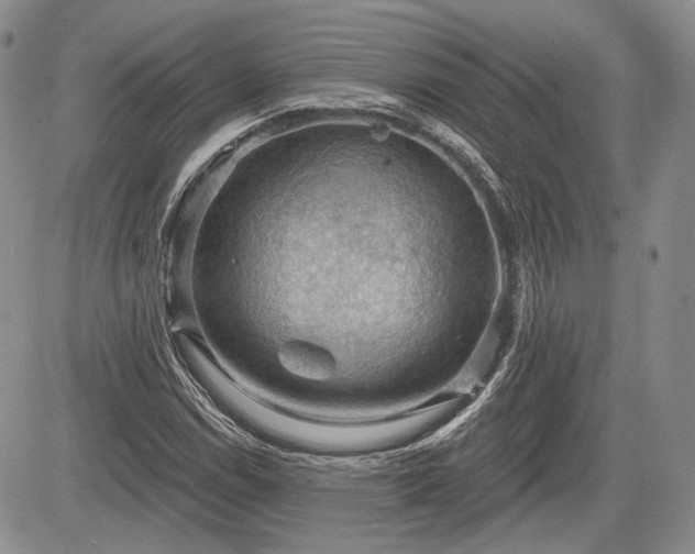 X0000085261114200703161356