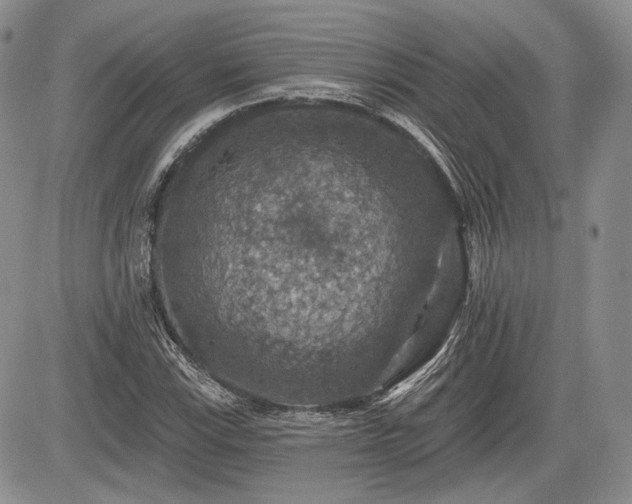 X0000085261115200703161356