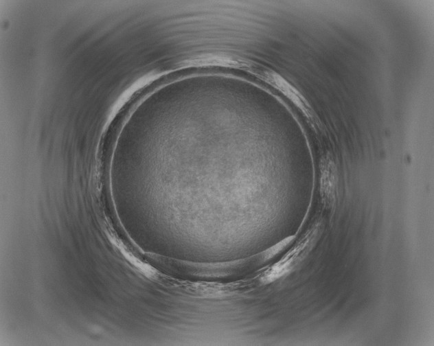 X0000085261116200703161356