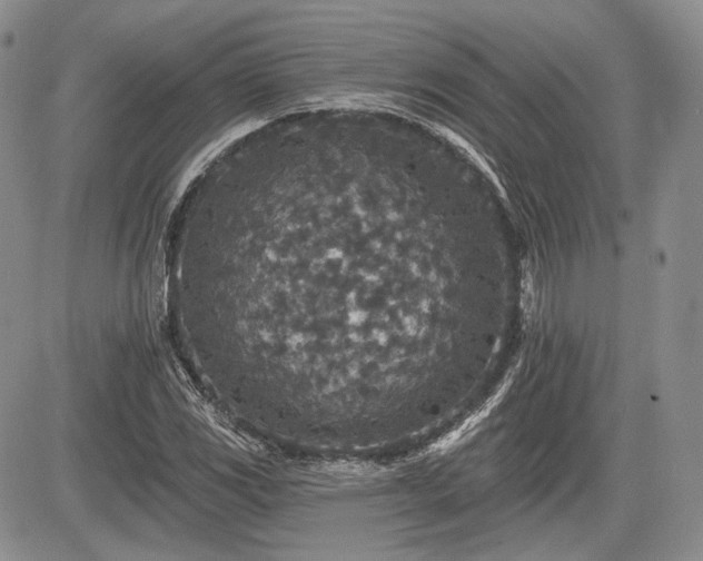 X0000085261117200703161357