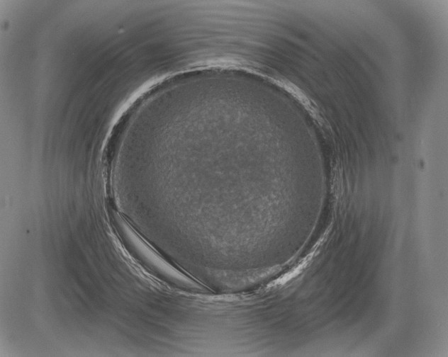 X0000085261118200703161357