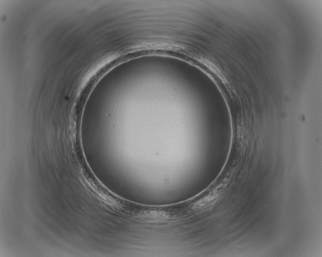 X0000085261119200703161357