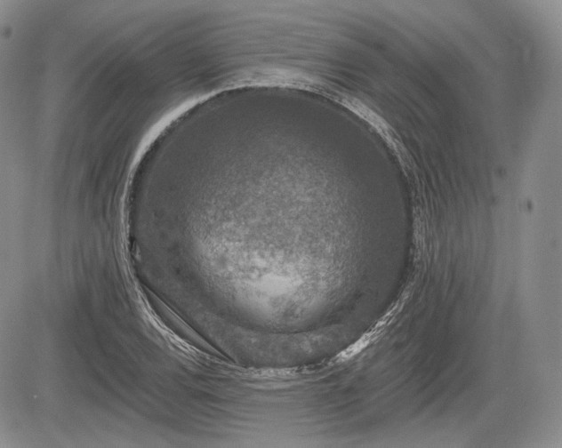 X0000085261120200703161357